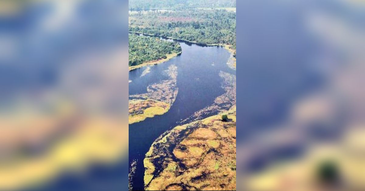 Potret Sungai Paling Gelap di Dunia, Airnya Hitam Pekat