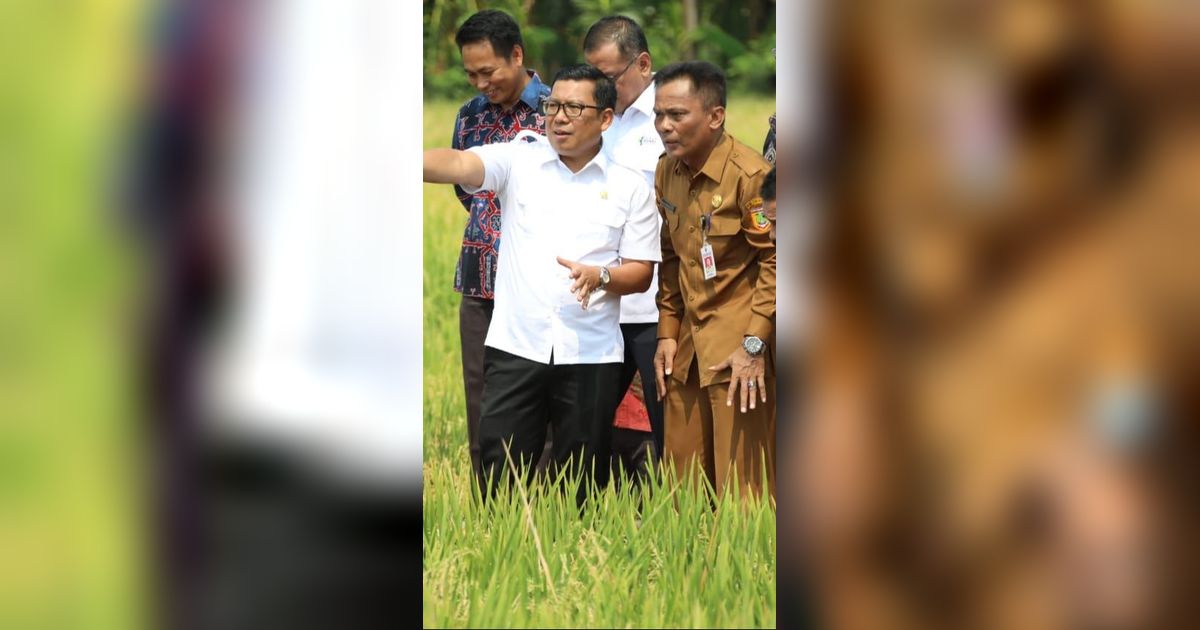 Plt Mentan Panen Raya dan Tanam Padi di Sukoharjo