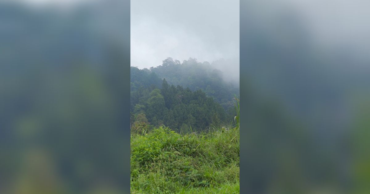 Usianya Disebut Jauh Lebih Tua dari Gunung Merapi, Ini Fakta Unik Bukit Turgo-Plawangan