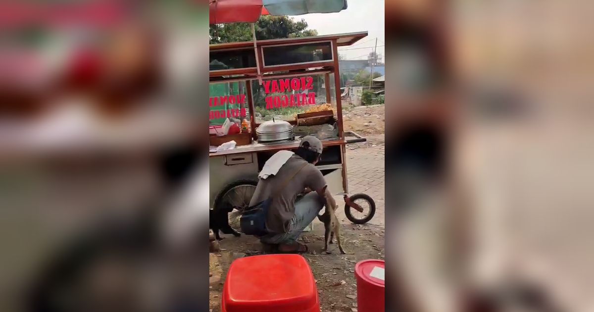 Viral Aksi Pedagang Siomay Rutin Beri Makan Kucing Jalanan, Warganet: Orang Kaya Sesungguhnya