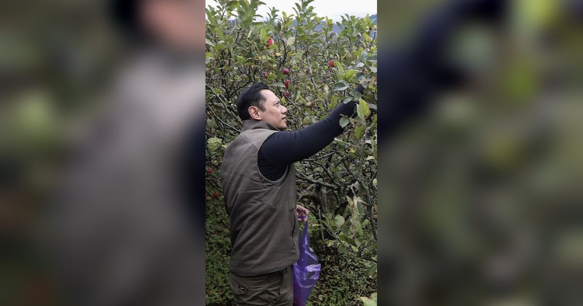 Anggukan Jokowi Kode Keras Demokrat Masuk Kabinet, AHY Unggah Foto soal Pertanian