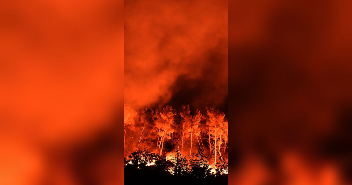 Ingin Lepaskan Kail Pancing yang Tersangkut Ranting, Pria Klaten Ini Nyalakan Api hingga Sebabkan 5 Hektare Hutan Terbakar