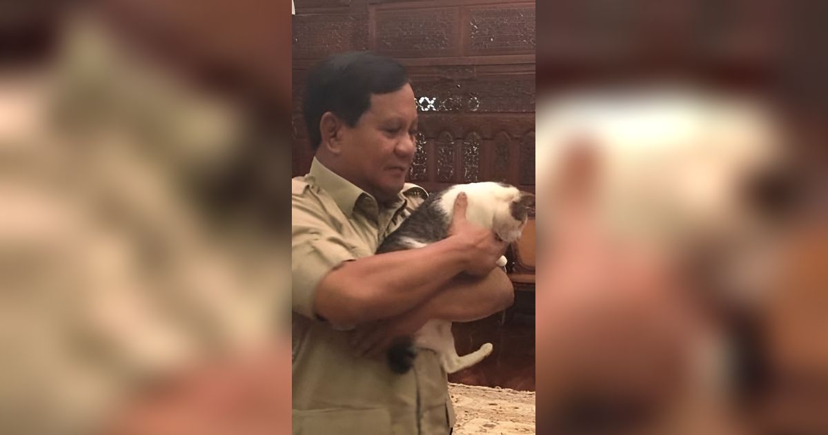Gemasnya Hewan Peliharaan Para Capres Cawapres 2024, dari Selebcat hingga Kura-kura Sulcata