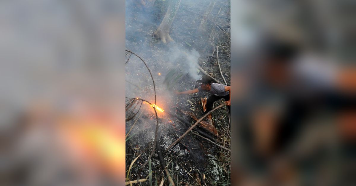 PLN Indonesia Power Kerahkan Personel Atasi Kebakaran Hutan, Ini Sebaran Lokasinya