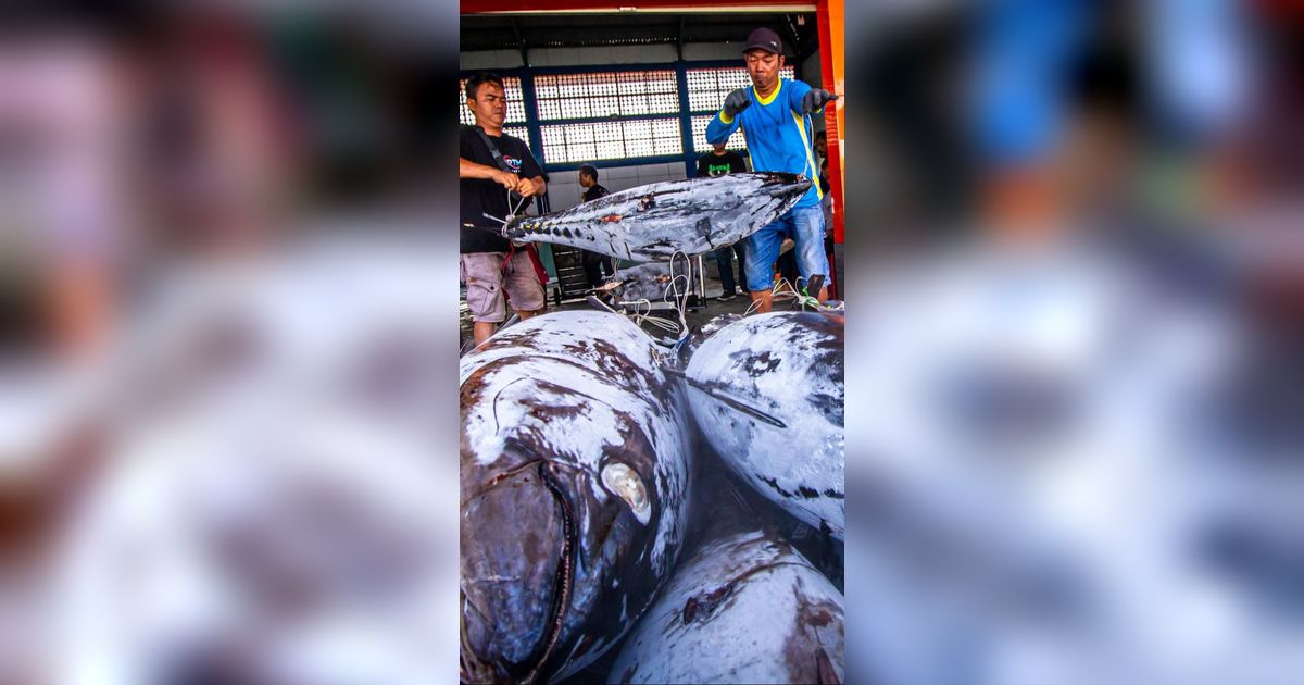 FOTO: Kementerian Kelautan dan Perikanan Terapkan Penangkapan Ikan Terukur Berbasis Kuota di Tahun 2024