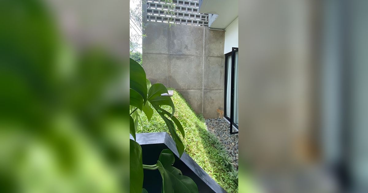 Tren Taman Rumput Miring, Pemandangan Lebih Segar Selevel Mata