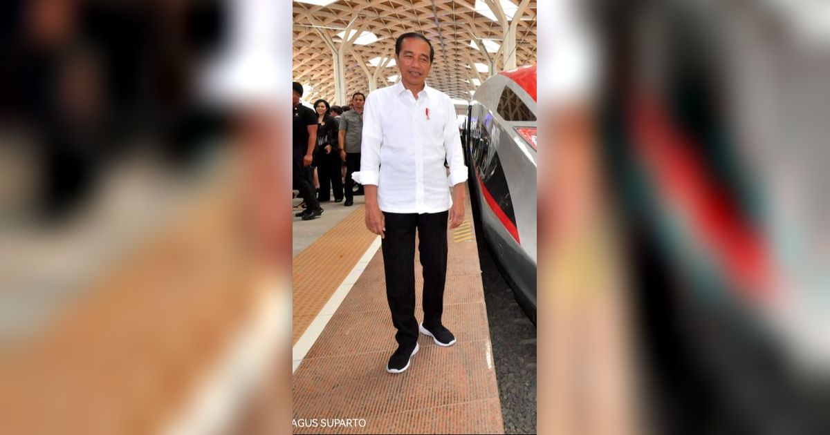 Banyak Masalah, Jokowi Balas Luhut Soal Kereta Cepat