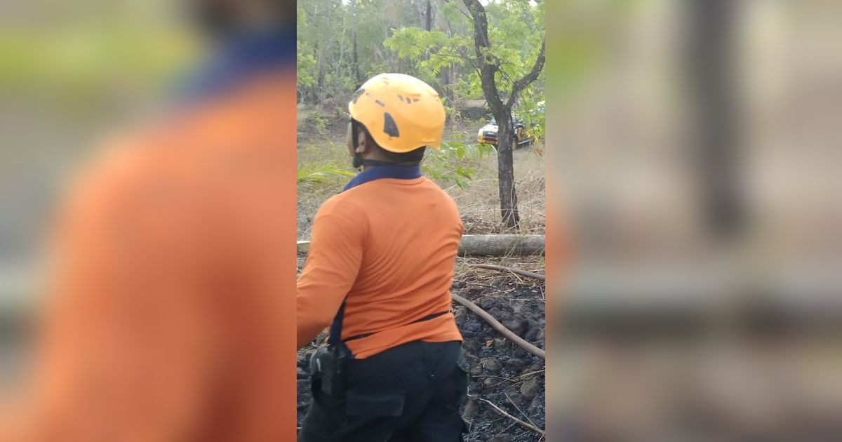 Api di Lereng Gunung Agung Belum Padam Sepenuhnya, Hampir Merembet ke Pura dan Rumah Warga