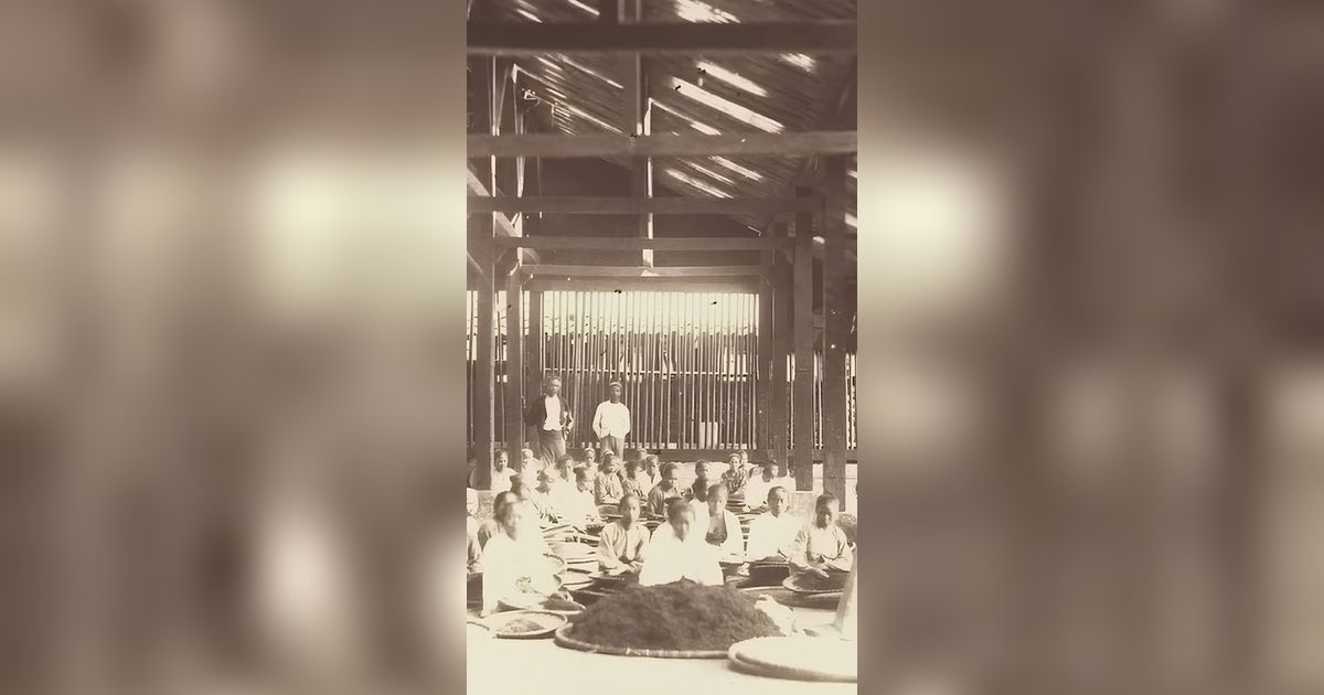 Promosi Teh Sukabumi di Eropa Tahun 1883 Ini Unik Pakai Gamelan Sunda, Ini Sosok di Baliknya