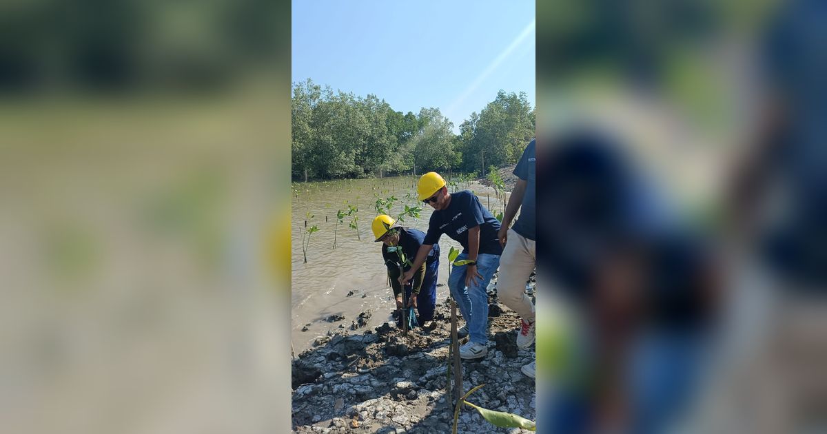 PNM Gandeng PT Waskita Beton Precast Tanam Mangrove dan Beri Akses Air Bersih