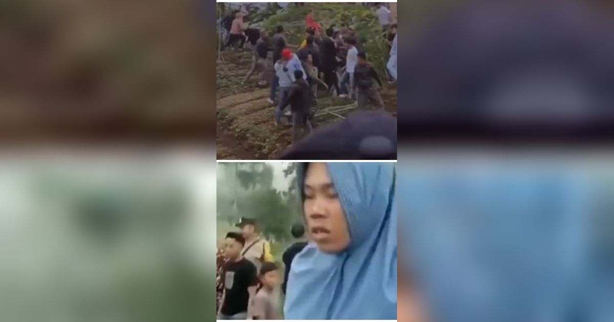 Viral Kerusuhan Suporter Bola di Wonosobo, Petani Menangis karena Ladangnya Rusak