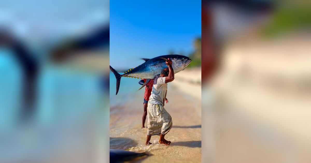 Cerita Nelayan Gaza Kesulitan Cari Ikan di Tengah Invasi Israel, Allah Langsung Kirimkan 100 Hiu