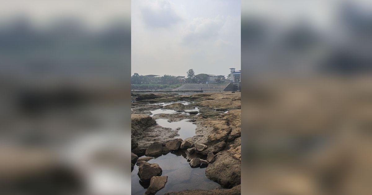 Prediksi BMKG: Kemarau Kering Berakhir Oktober, Puncak Musim Hujan Awal 2024