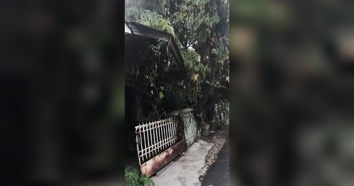 Kisah Ibu Guritno Hidup Sebatang Kara Tanpa Air Bersih dan Listrik di Rumah Besar Terbengkalai 20 Tahun, Dulu Orang Terkaya di Kompleks