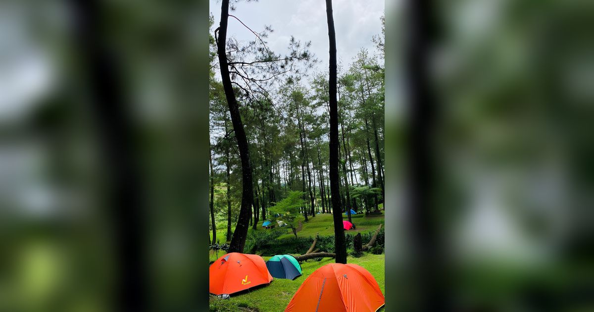 Tempat Camping di Cianjur Ini Bikin Betah, Sinyal HP Kuat dan Suguhkan Kombinasi Rumput Hijau dengan Sunrise Cantik