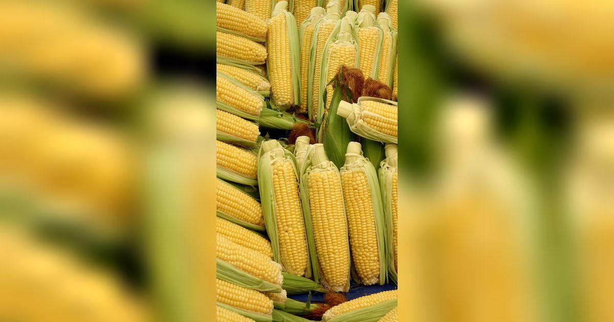 Resep Es Jagung Hawai Viral, Minuman Manis Menyegarkan