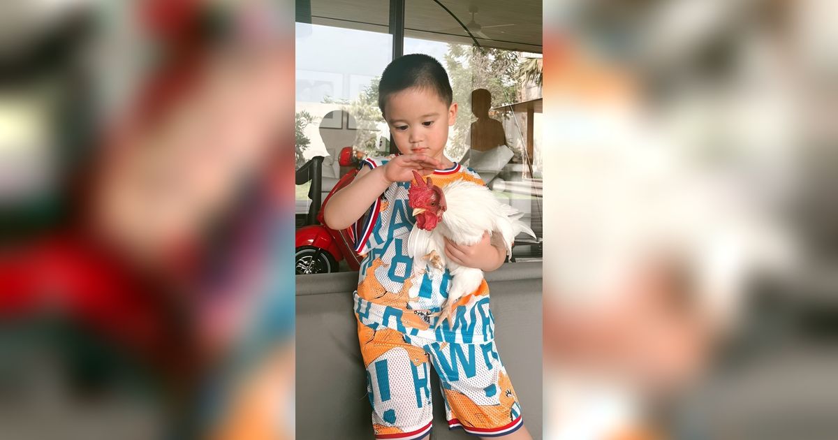 Super Cute! Potret Putra Citra Kirana Manjakan Ayam Warisan Kakek