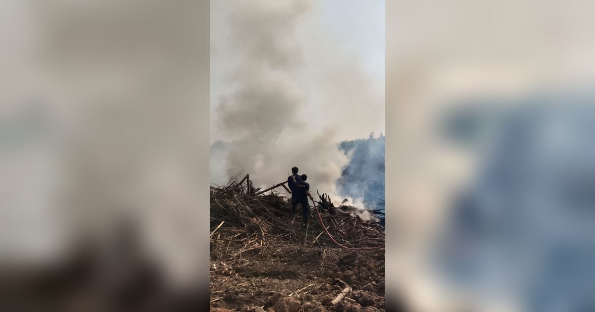 Api Padam, Luasan Hutan dan Lahan yang Terbakar di Gunung Agung Capai 715 Hektare