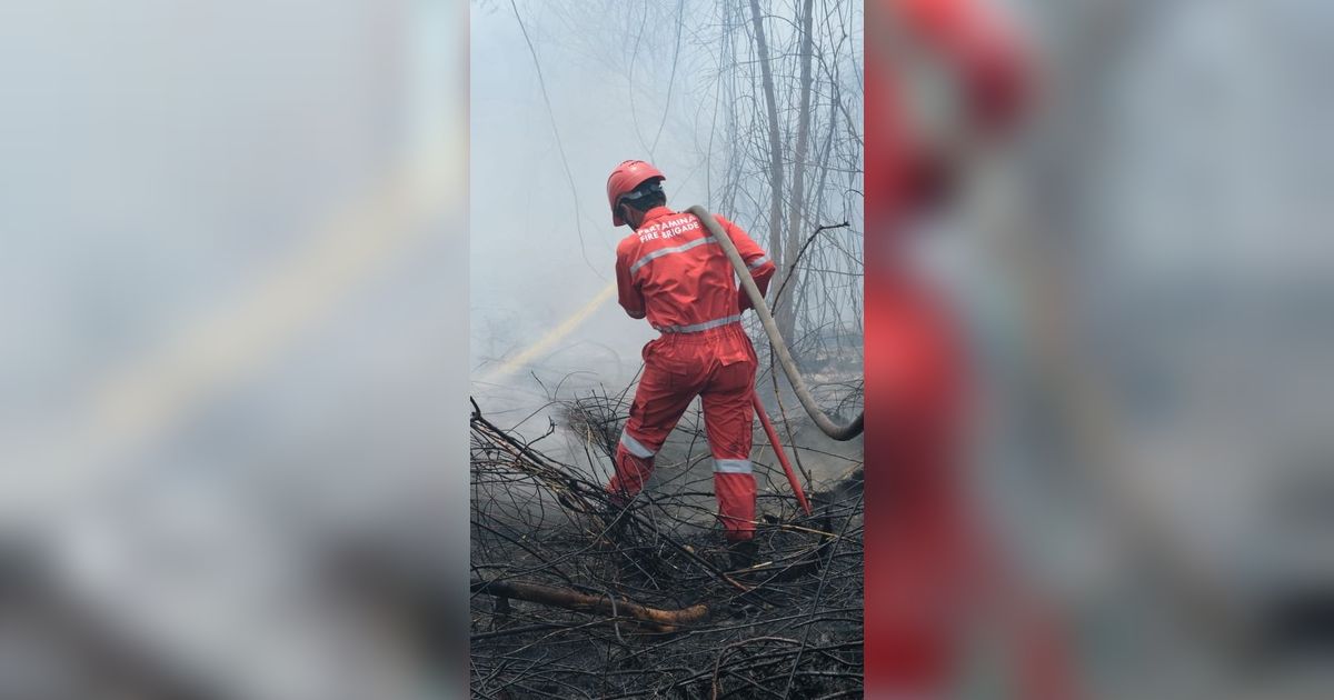 Pertamina Group Turunkan 200 Personel Lebih untuk Bantu Atasi Karhutla