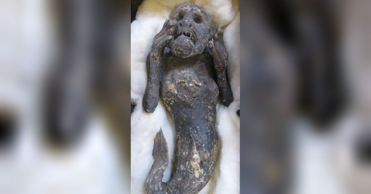 Disembah Sejak Lama, Terkuak Misteri di Balik Mumi Duyung Jepang