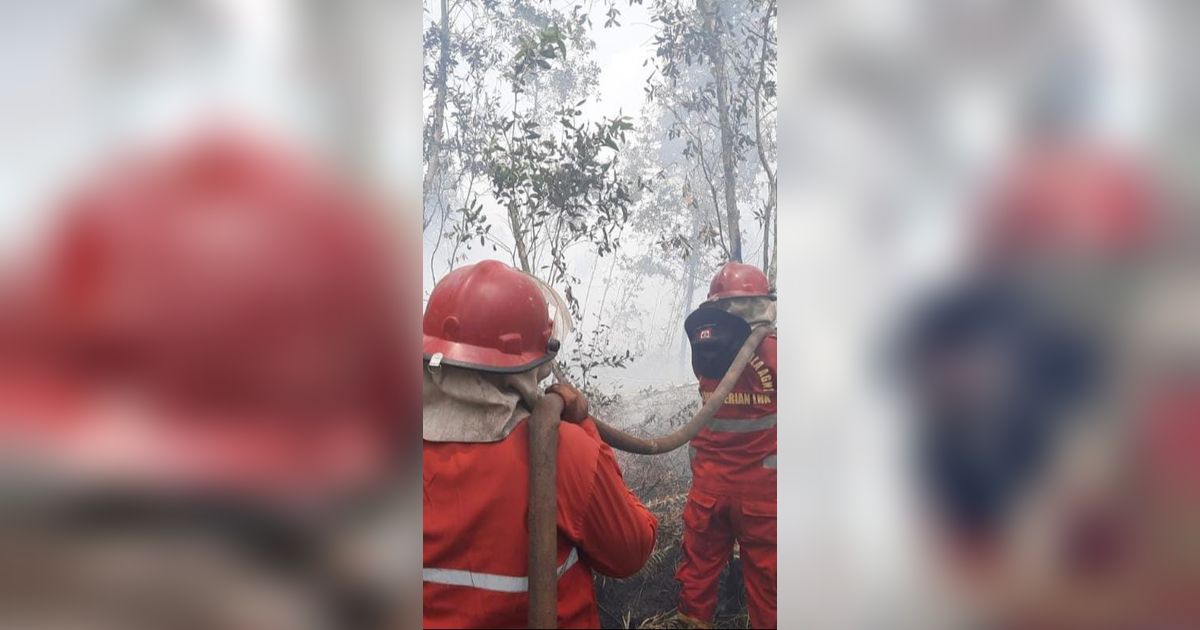 Karhutla di Kalsel Sebabkan Kasus Ispa Meningkat, Tim Gabungan Diturunkan