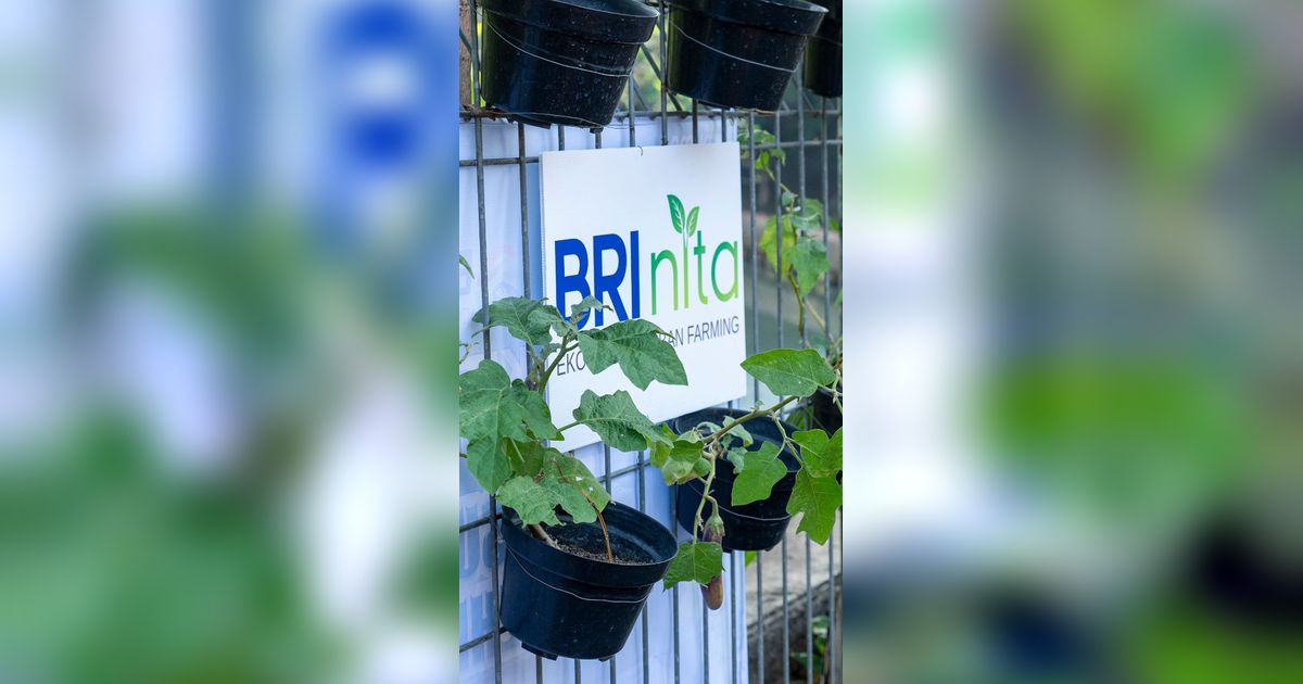 FOTO: BRI Peduli Jadikan Kampung Bali Percontohan Jaga Ekosistem Lingkungan di Tengah Kota Jakarta