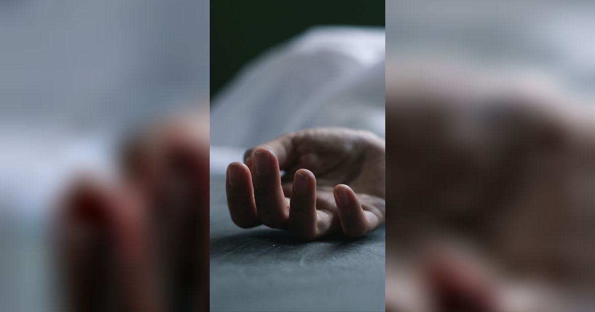 Pengakuan Anggota DPR, Ayah dari Pemuda yang Diduga Aniaya Seleb Tiktok Dini Sera Afriyanti Hingga Tewas