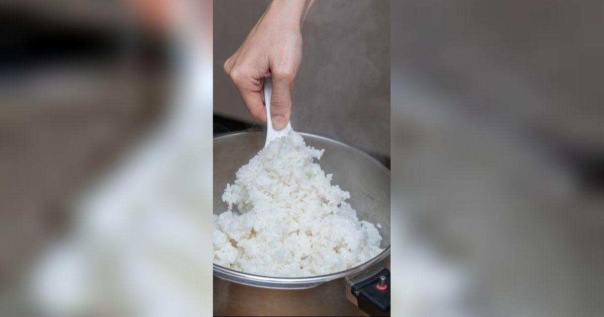 Catat! Begini Cara Dapat Rice Cooker Gratis dari Pemerintah