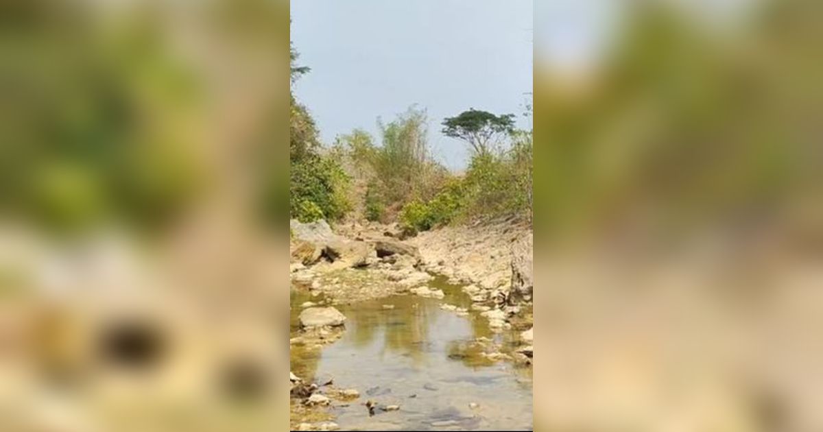 Mengunjungi Surga Tersembunyi di Pedalaman Hutan Blora, Ada Sumber Air Panas hingga Gua