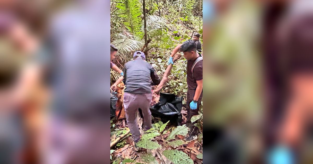 Ngeri Banget! Warga Indonesia Tewas Mengenaskan Dimakan Harimau di Kebun Karet Malaysia