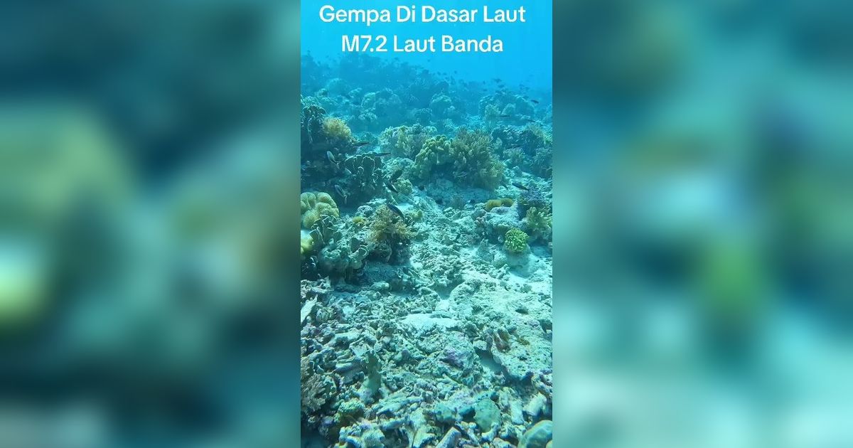 Video: Detik-Detik Penyelam Dihantam Gempa Dahsyat M 7,2 di Dasar Laut Banda