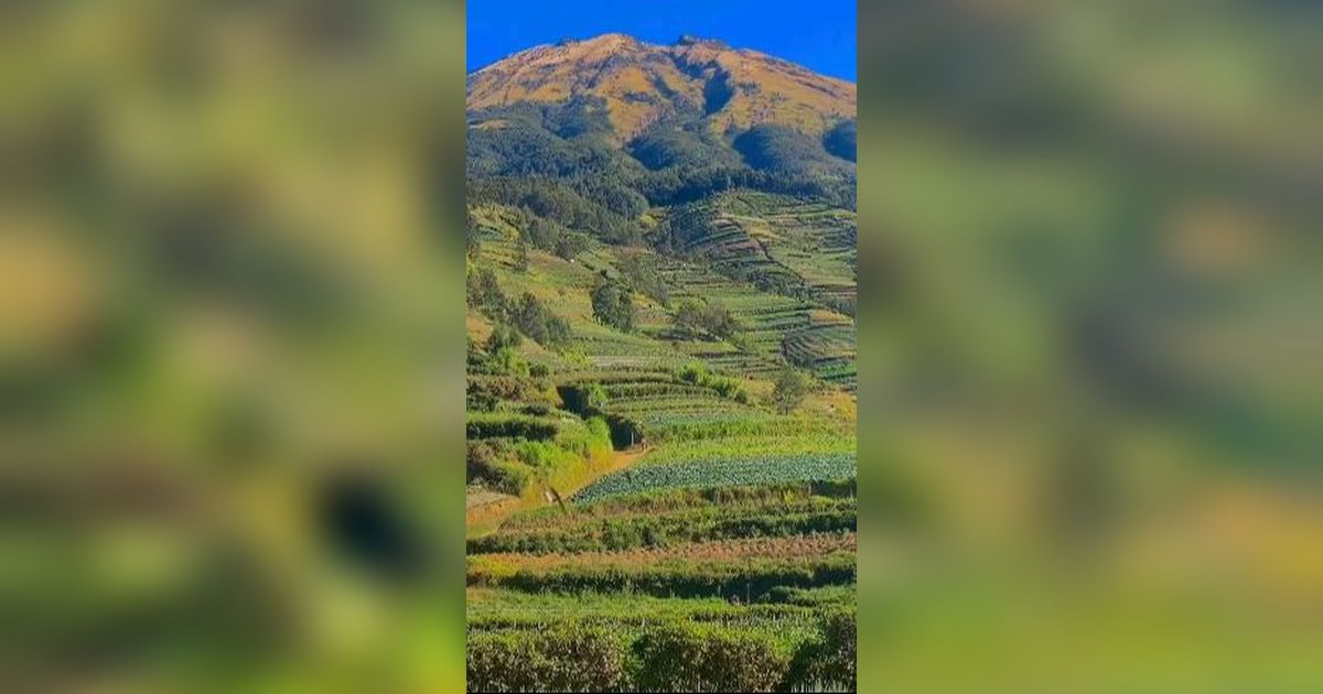 Berwisata ke Blumbang Roto, Hidden Gem di Lereng Gunung Sumbing yang Belum Banyak Diketahui