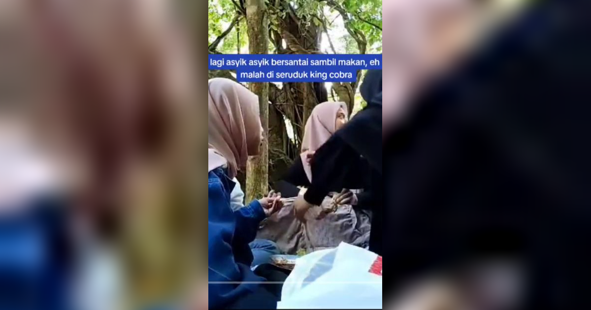Makan di Bawah Pohon, Segerombolan Perempuan Ini Diseruduk Ular Kobra