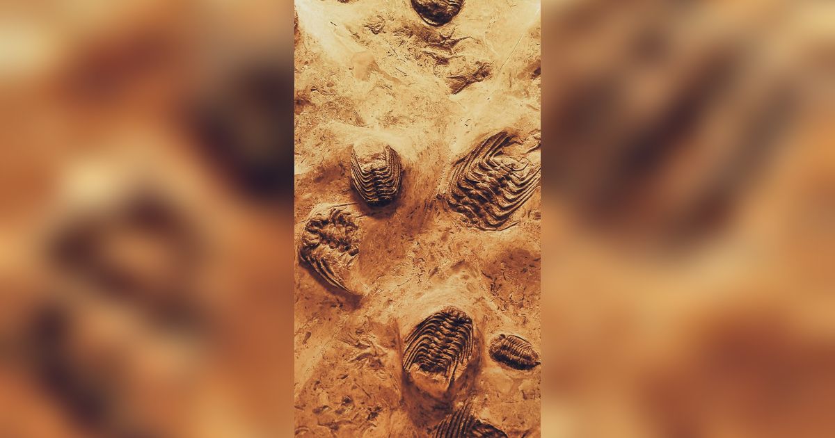 Arkeolog Temukan Kerangka Korban Tumbal, Masih Pakai Giok