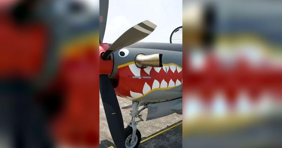 Kecanggihan Pesawat Tempur Super Tucano yang Jatuh, Ternyata Segini Harganya