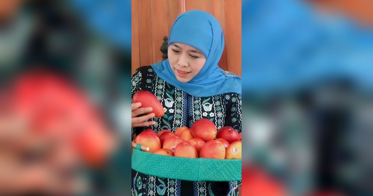 Mencicipi Mangga Garifta Khas Jawa Timur, Warna Menggoda Cita Rasanya Manis Asam Menyegarkan