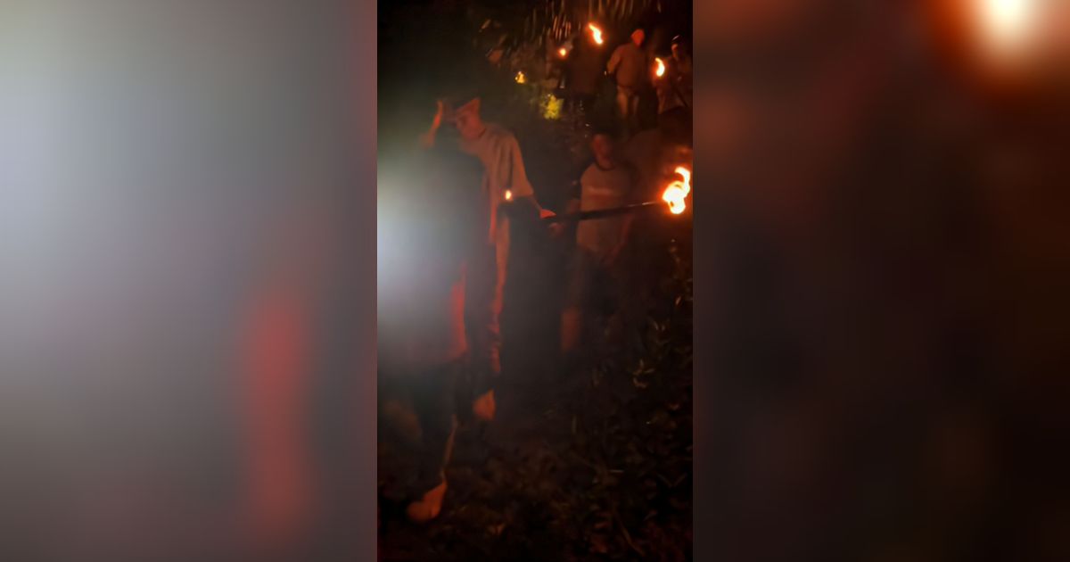 Viral! Pemuda Jambi Hilang di Kebun Sawit, Pulang Sendiri Lewat Tengah Malam dalam Kondisi Linglung Usai Dikumandangkan Azan