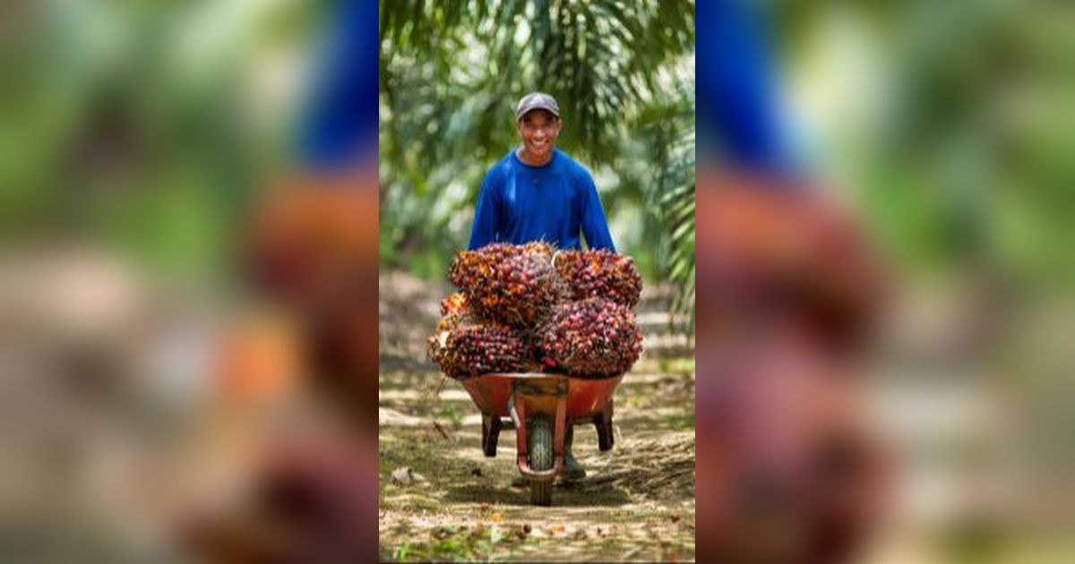 PTPN Temukan Ide Sederhana Lawan Hama Kelapa Sawit, tapi Dampaknya Sangat Besar