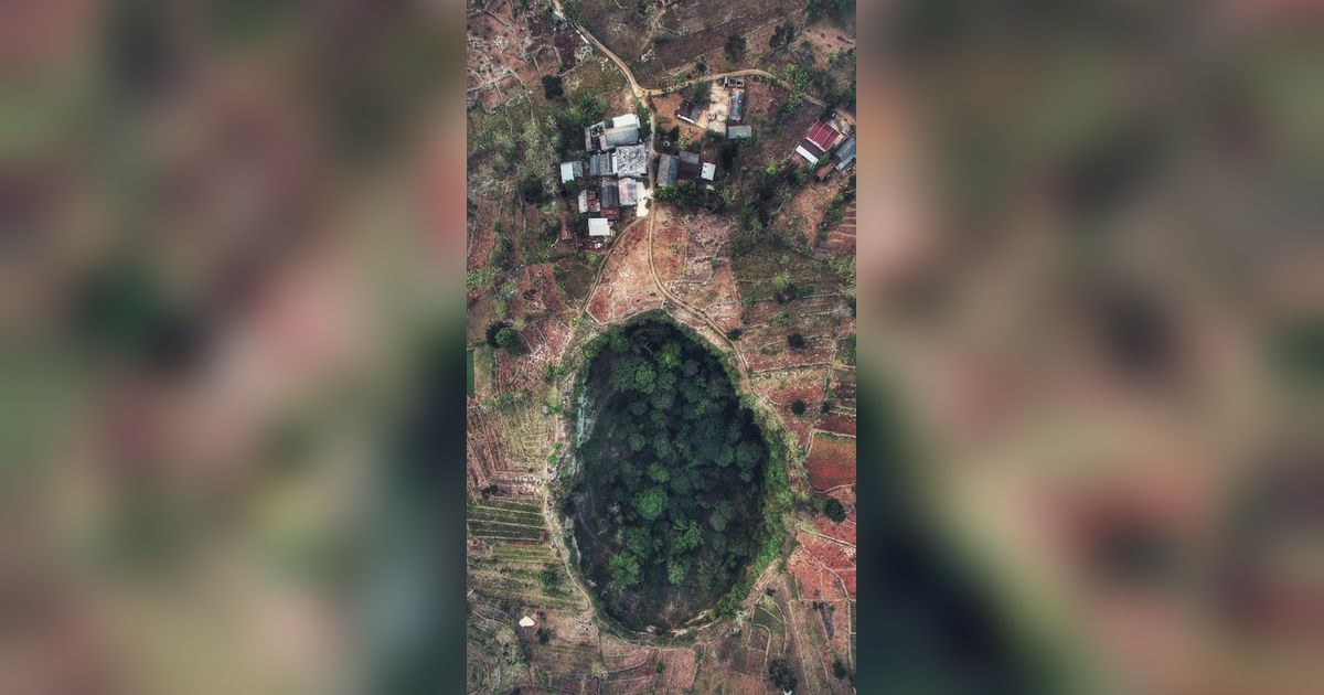 Gua Sebesar Stadion Ini Punya Hutan Bawah Tanah Eksotis, Hidden Gems Tuban yang Berpotensi Viral