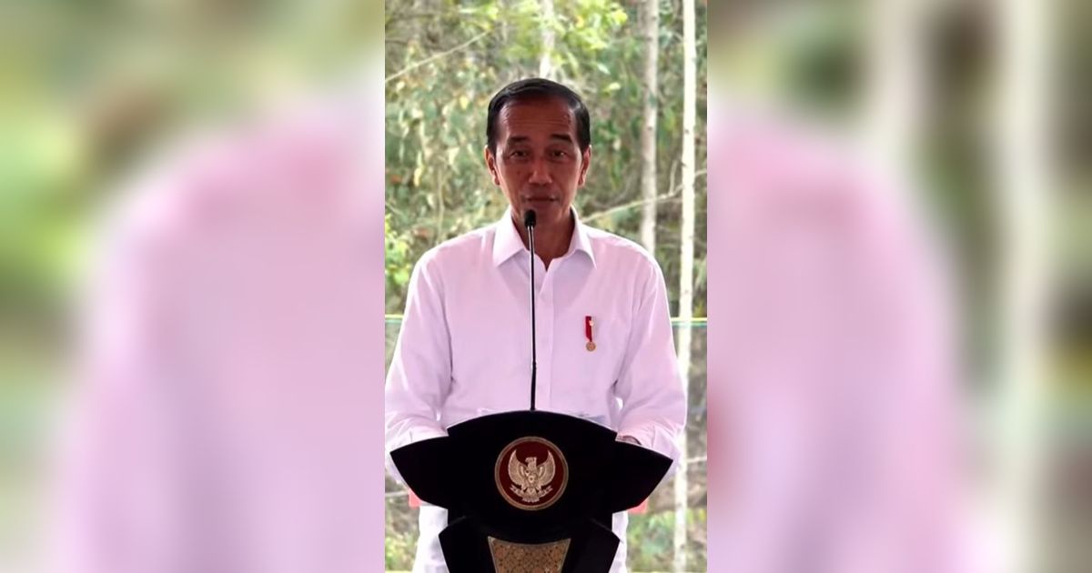 Jokowi Ingin Contoh Guyana: Kekayaan Negara Digarap Swasta Bukan BUMN, Maaf Pak Erick