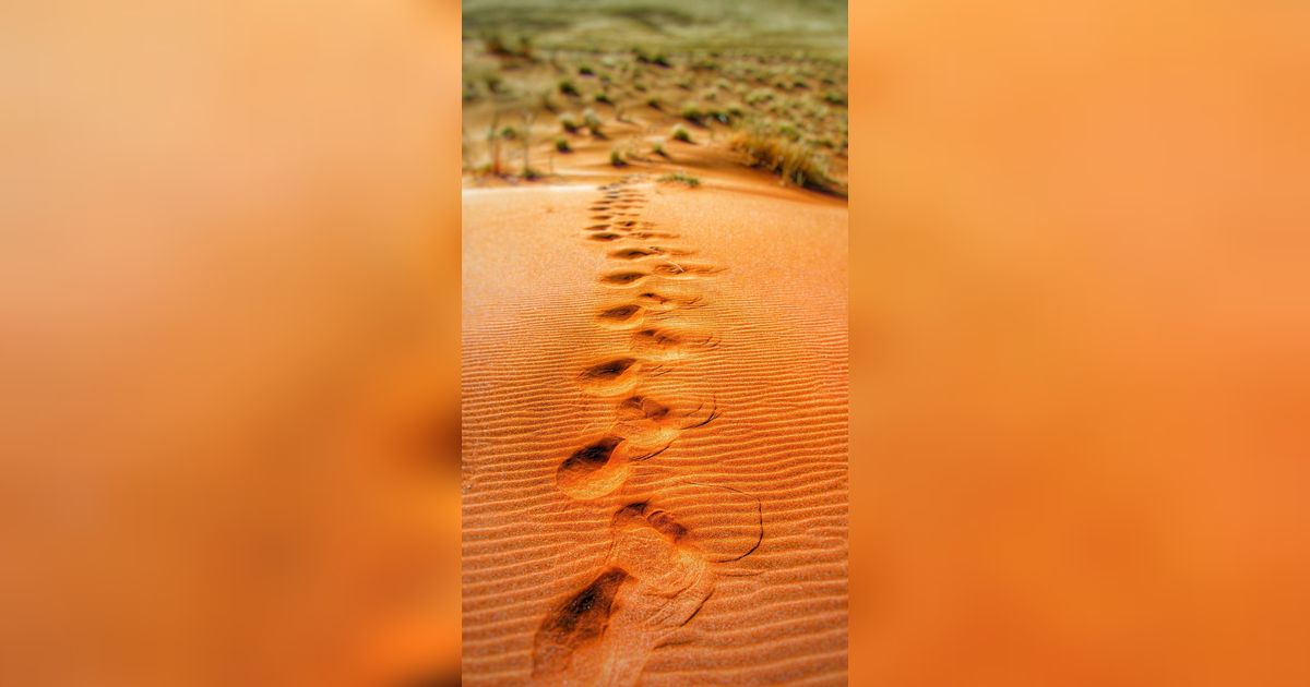 10 Sosok Sahabat Nabi Muhammad SAW yang Dijamin Allah SWT Masuk Surga, Siapa Sajakah Mereka?