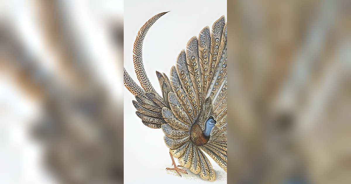 Viral Penampakan Burung Purba yang Sudah Punah, Muncul Kembali di Aceh!