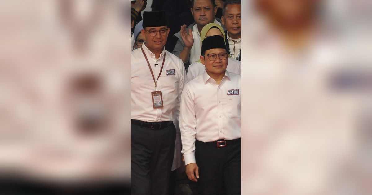 Senior PAN dan Mantan Menteri Jokowi Masuk Timses AMIN