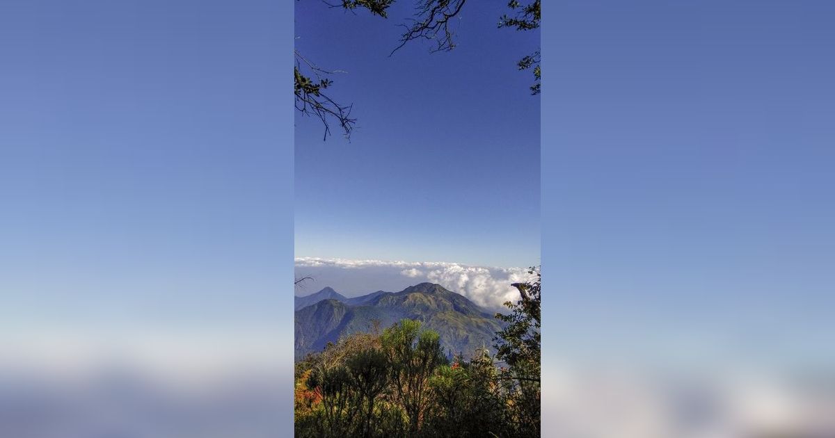 Mitos Gunung Lawu, Mulai Adanya Pasar Setan Hingga Pantangan Pakai Baju Hijau