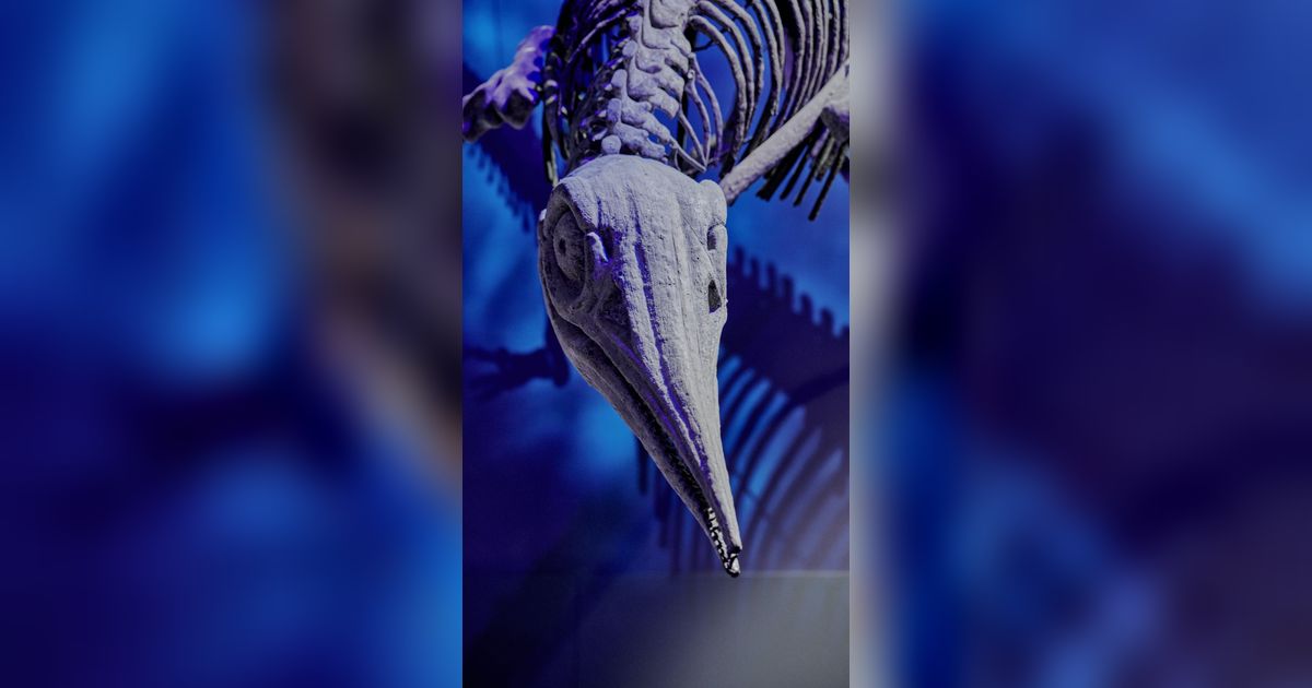 Penemuan Predator Purba Paling Buas Sebelum Zaman Dinosaurus, Hidup 265 Juta Tahun Lalu