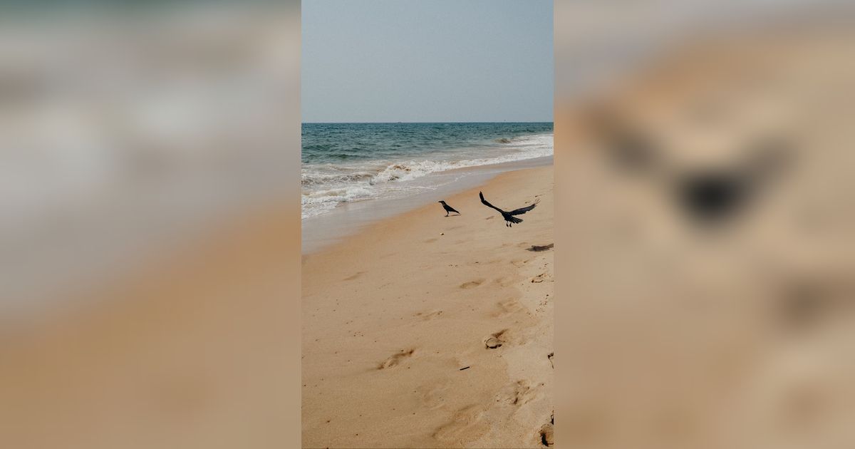 Penemuan Mengejutkan Hewan Laut Purba yang Hidup 248 Juta Tahun Lalu di China