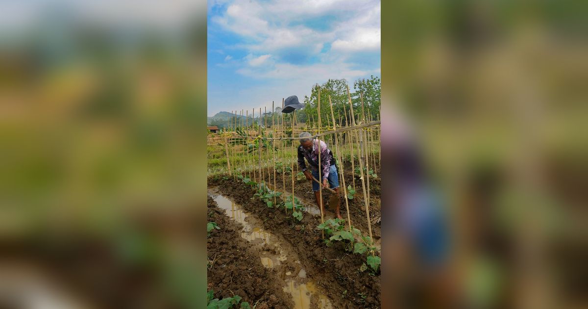 Punya Harta Triliunan, Ini 5 Petani Terkaya di Dunia