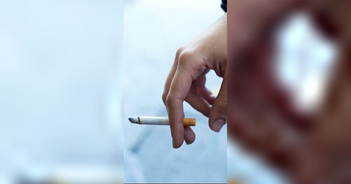 Rokok Putih Adalah Rokok Tanpa Campuran Cengkih, Berikut Jenis Rokok dan Penjelasannya