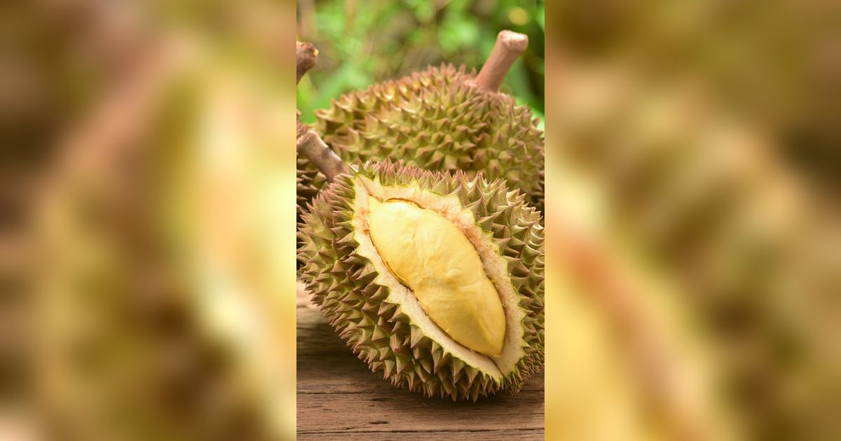 Tips Memilih Durian yang Matang, Lembut dan Siap Santap