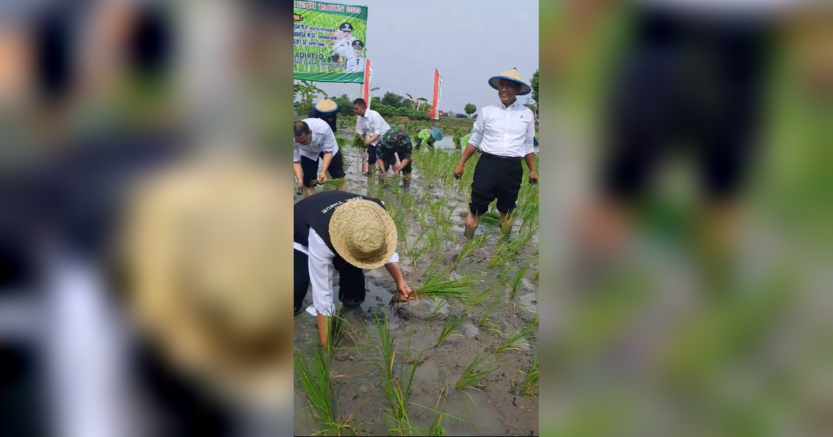 Sengit, Ibu Gubernur Lomba Tanam Padi lawan Menteri Pertanian di Sawah, Siapakah Pemenangnya?